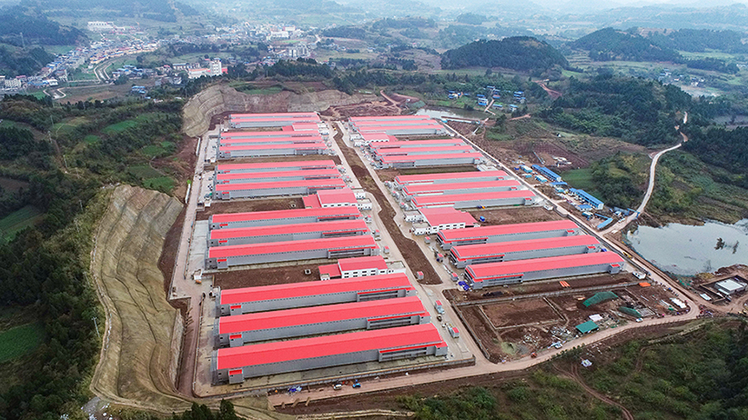 【轉型發(fā)展工作動態(tài)之一】黨建引領服務鄉(xiāng)村振興