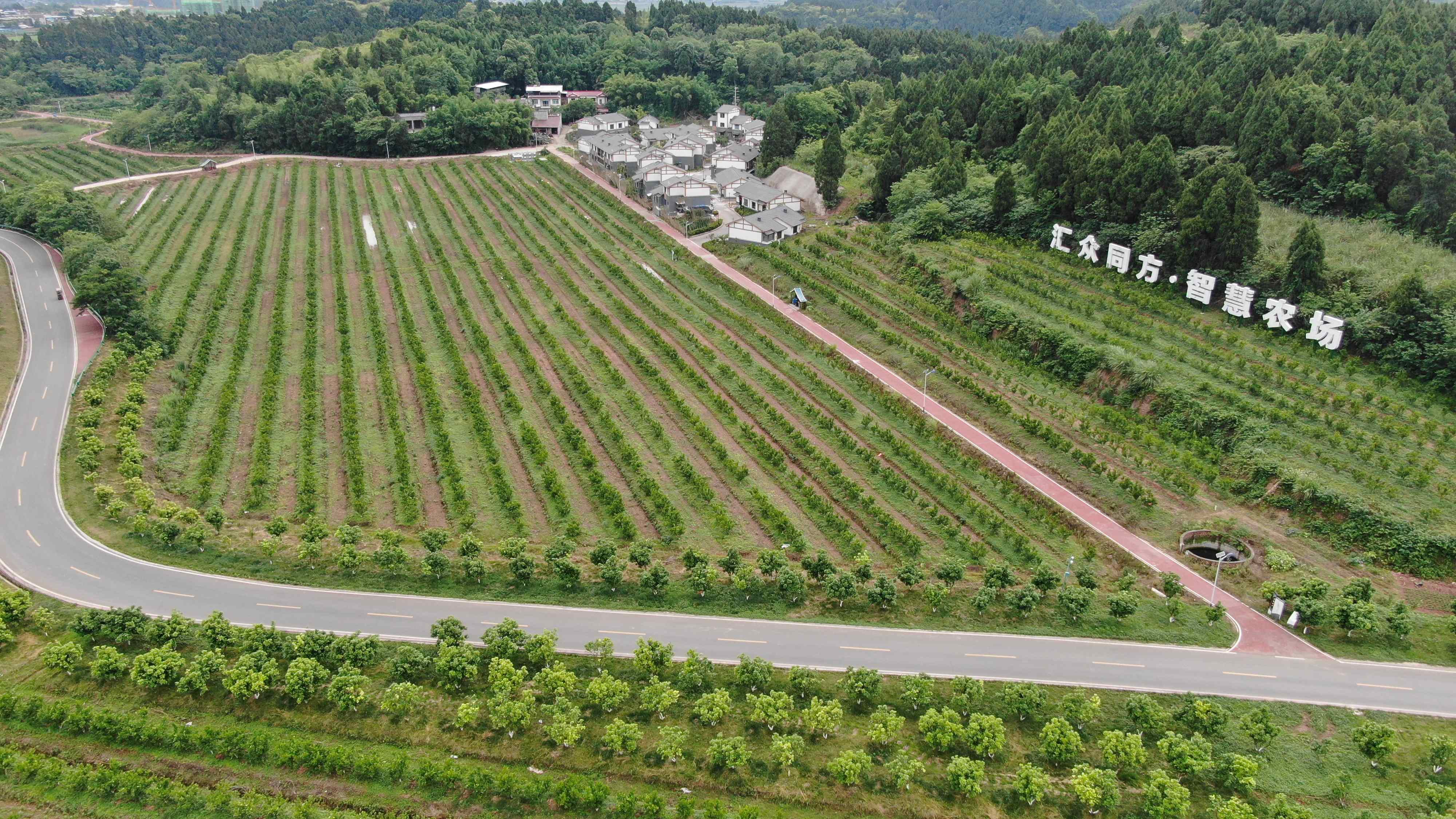 8e26a3e57ba4a0bce315a7dbae09083(1)